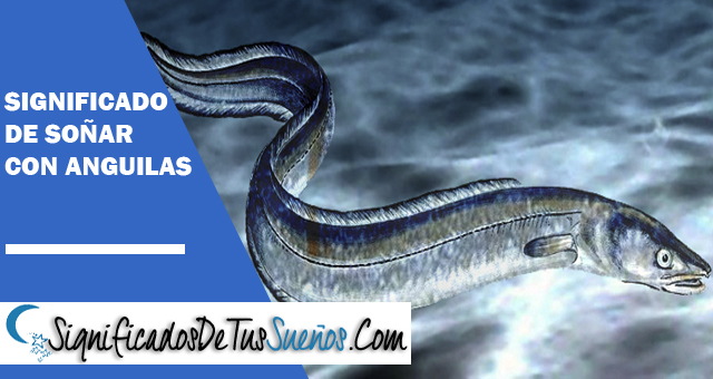 Significado de soñar con anguilas