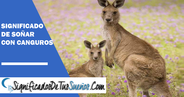 Significado de soñar con canguros