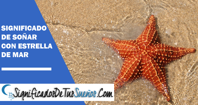 Significado de soñar con estrellas de mar