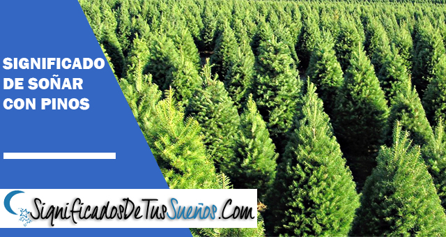 Significado de soñar con pinos