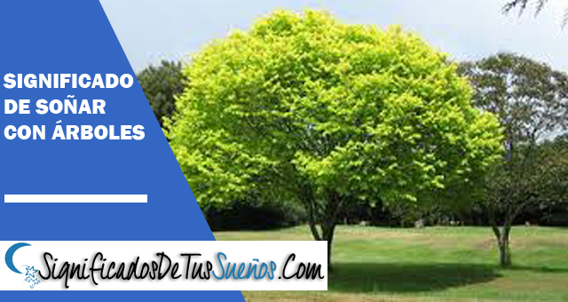 Significado de soñar con árboles