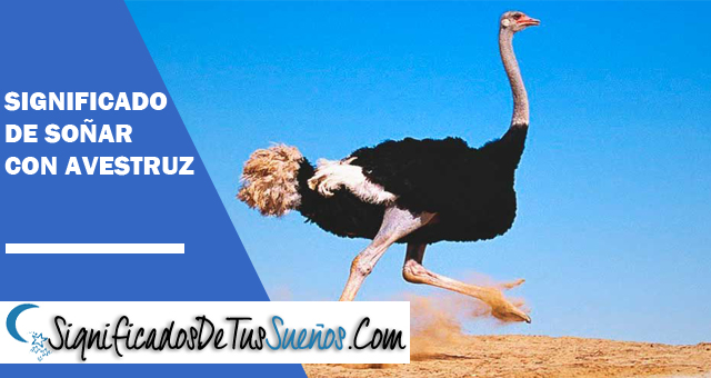 Significado de soñar con avestruz