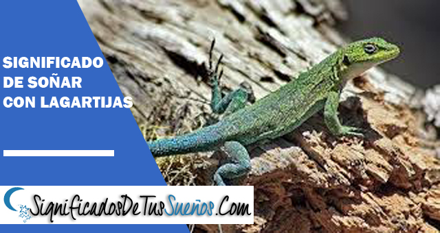 Significado de soñar con lagartijas