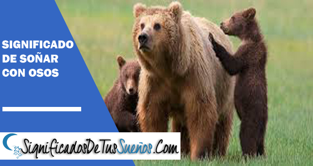 Significado de soñar con osos