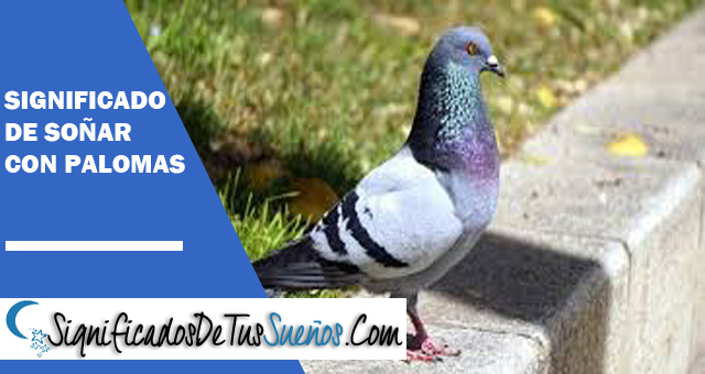 Significado de soñar con Palomas