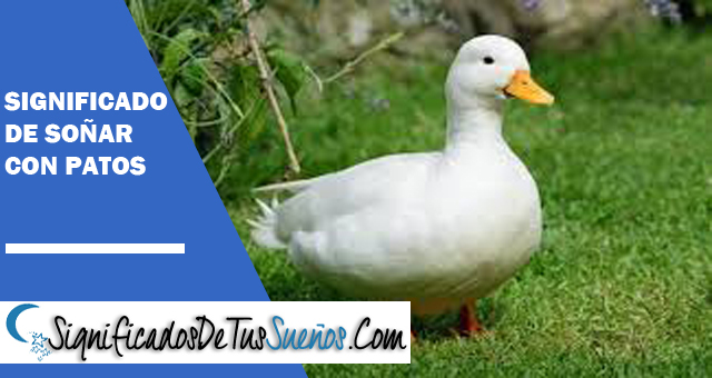 Significado de soñar con patos