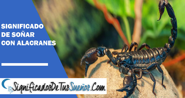 Significado de soñar con alacranes