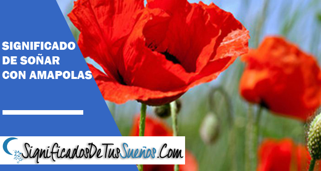 Significado de soñar con amapolas
