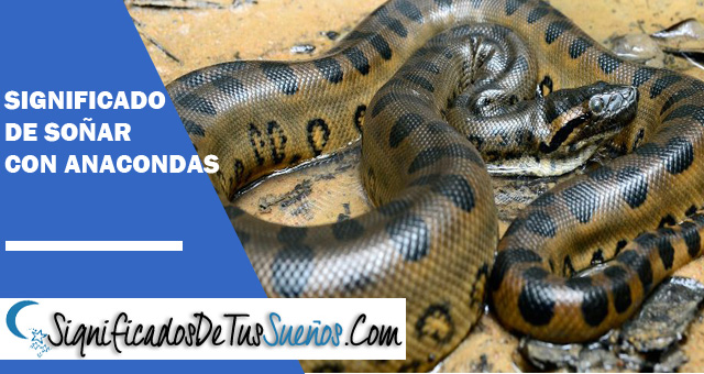 Significado de soñar con anacondas