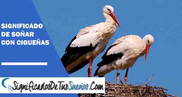 Significado de soñar con cigüeñas
