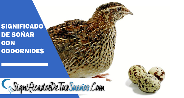 Significado de soñar con Codornices