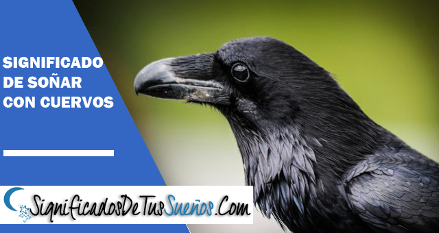 Significado de soñar con cuervos