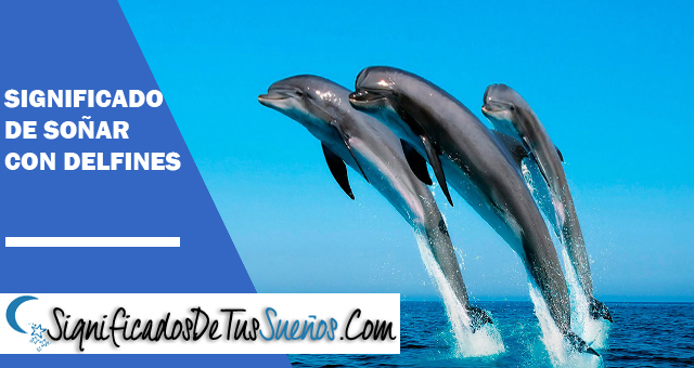 Significado de soñar con delfines