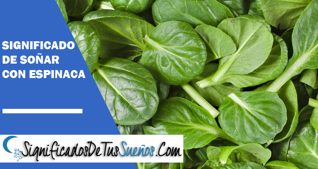 Significado de soñar con espinacas