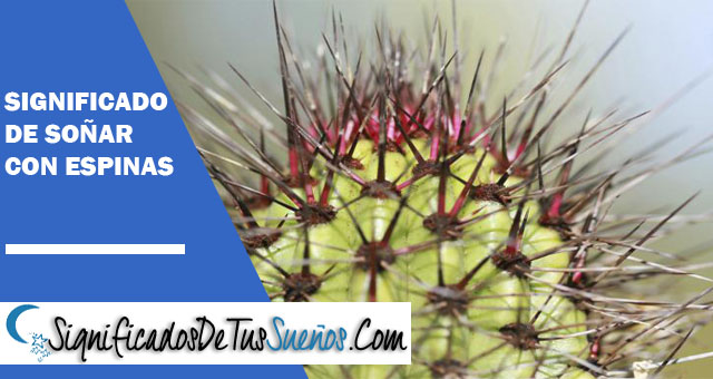 Significado de soñar con espinas