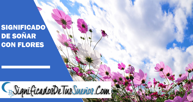 Significado de soñar con flores