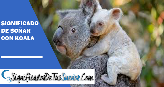 Significado de soñar con koala