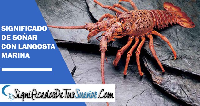 Significado de soñar con langostas marinas