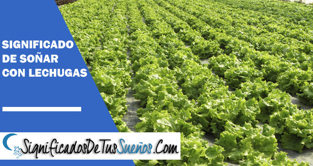 Significado de soñar con lechugas