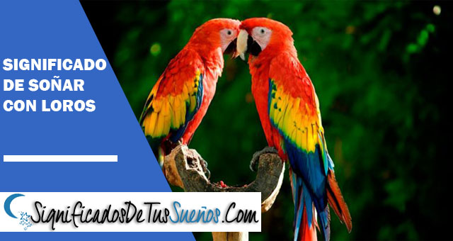 Significdo de soñar con loros