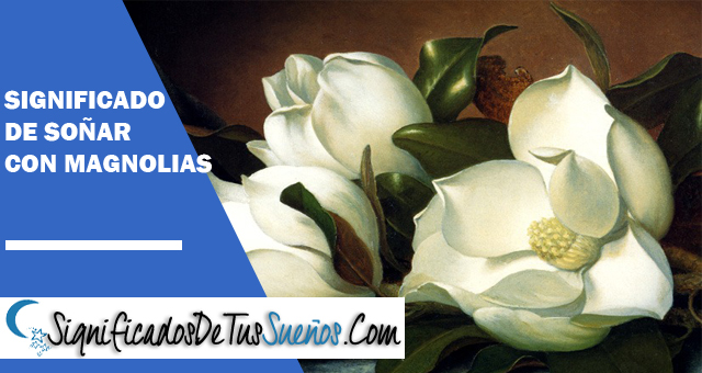 Significado de soñar con Magnolias