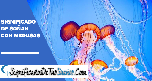 Significado de soñar con medusas