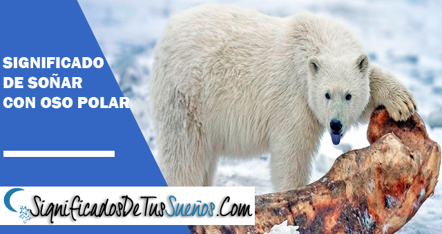 Significado de soñar con oso polar