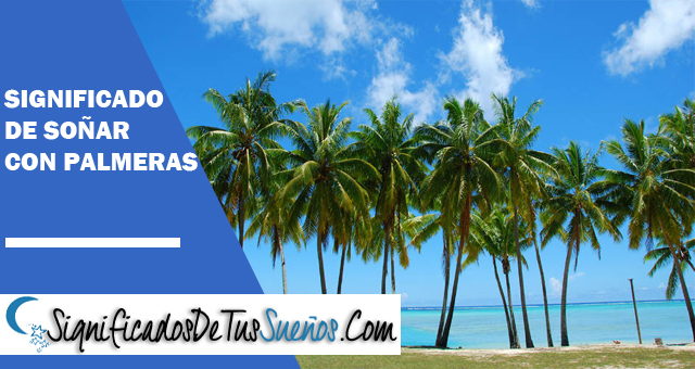 Significado de soñar con Palmeras