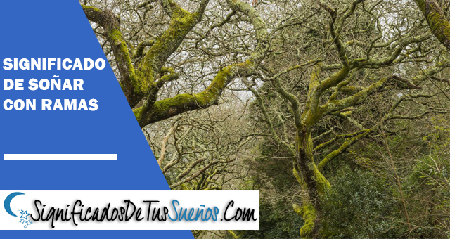 Significado de soñar con ramas