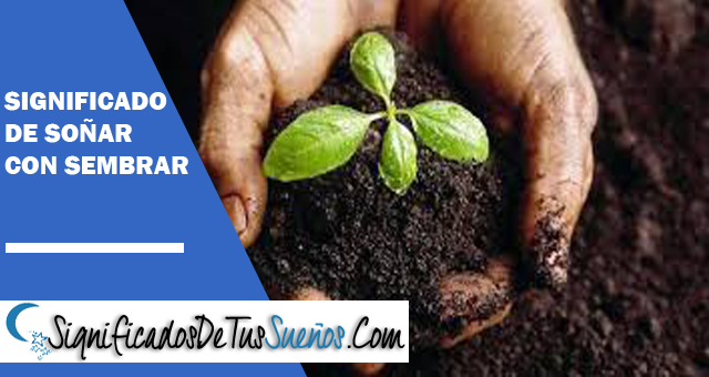 Significado de soñar con plantar