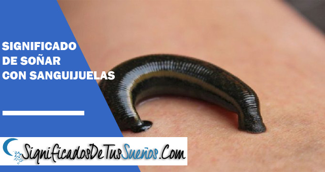 Significado de soñar con sanguijuelas