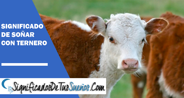Significado de soñar con un ternero