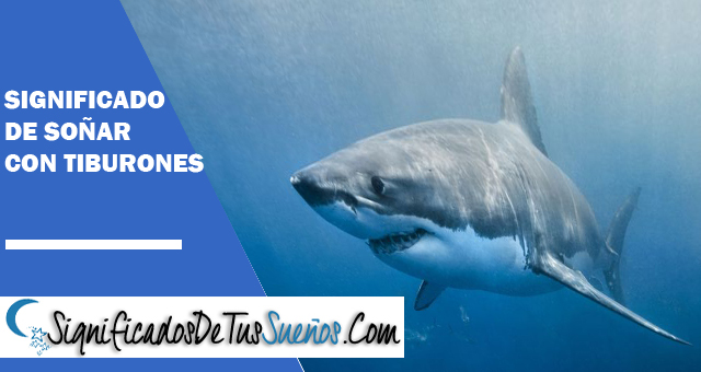 Significado de soñar con tiburones