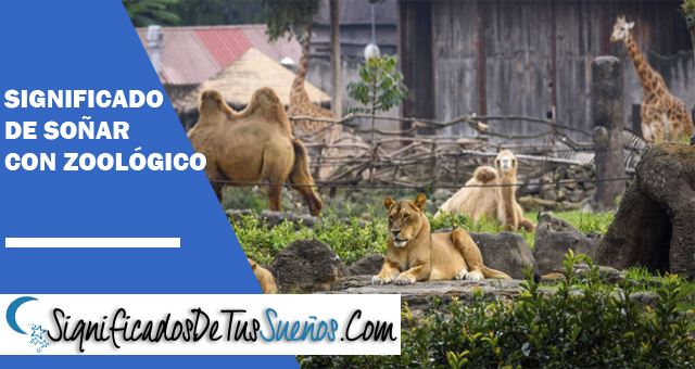 Significado de soñar con zoológico
