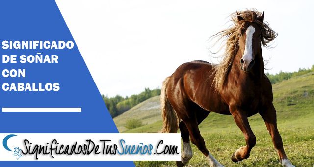 Soñar con caballos ¿Cual es su significado Onírico?