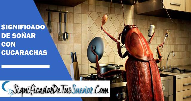 Significado de soñar con cucarachas