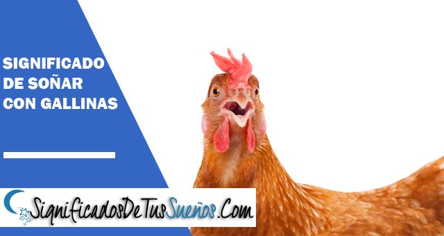 ¿Qué significa soñar con gallinas? Descubrelo todo!!!