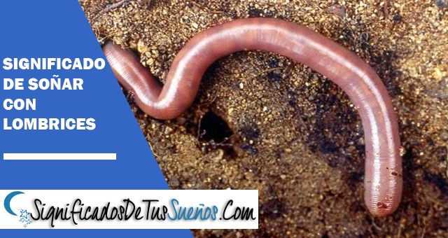 Soñar con lombrices | ¿Cual es su significado?