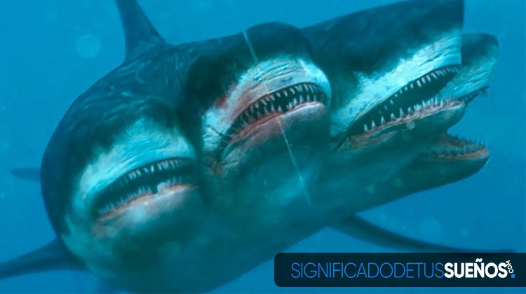 Interpretación de los sueños concretos con tiburones