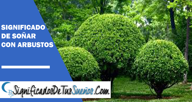 Significado de soñar con arbustos