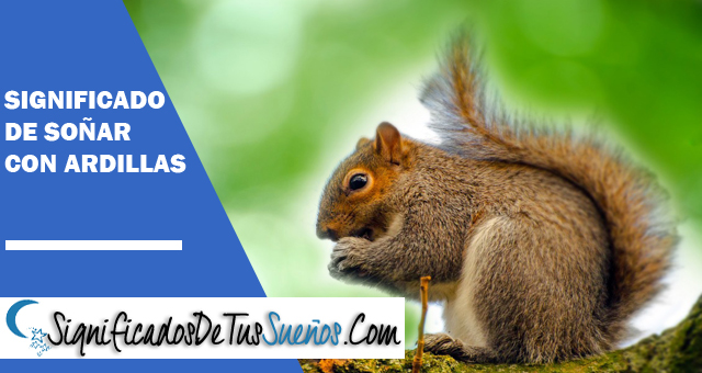 Significado de soñar con ardillas