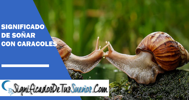 Significado de soñar con caracoles