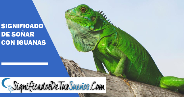 Significado de soñar con iguanas