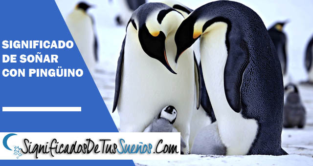 Significado de soñar con pingüinos
