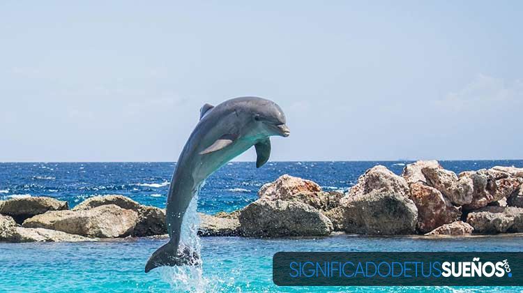 Soñar con delfines saltando