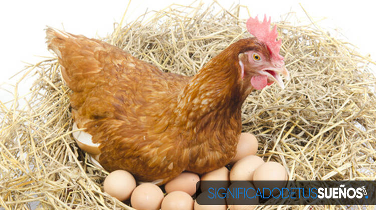 Soñar con gallinas que ponen huevos