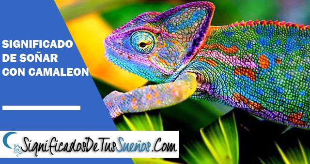 Significado de Soñar con camaleón